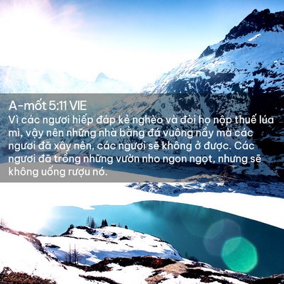 Picture 02 - A-mốt 5:11 VIE - Vì các ngươi hiếp đáp kẻ nghèo và - Bible Verse Picture