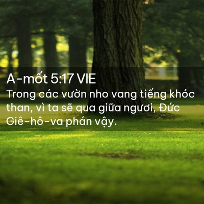 Picture 02 - A-mốt 5:17 VIE - Trong các vườn nho vang tiếng khóc than, - Bible Verse Picture