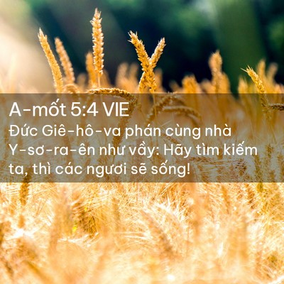 Picture 02 - A-mốt 5:4 VIE - Đức Giê-hô-va phán cùng nhà Y-sơ-ra-ên - Bible Verse Picture