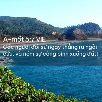Picture 02 - A-mốt 5:7 VIE - Các ngươi đổi sự ngay thẳng ra ngải - Bible Verse Picture