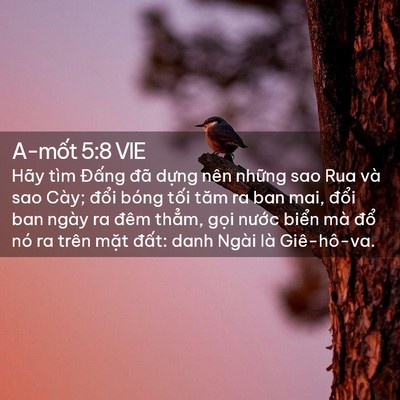 Picture 02 - A-mốt 5:8 VIE - Hãy tìm Đấng đã dựng nên những sao - Bible Verse Picture