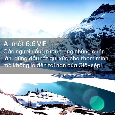 Picture 02 - A-mốt 6:6 VIE - Các ngươi uống rượu trong những chén - Bible Verse Picture