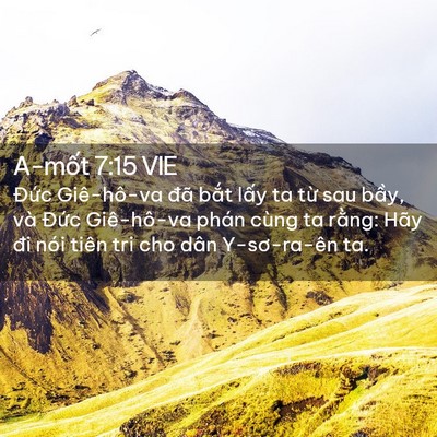 Picture 02 - A-mốt 7:15 VIE - Đức Giê-hô-va đã bắt lấy ta từ sau - Bible Verse Picture