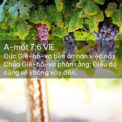 Picture 02 - A-mốt 7:6 VIE - Đức Giê-hô-va bèn ăn năn việc nầy. - Bible Verse Picture