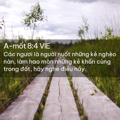 Picture 02 - A-mốt 8:4 VIE - Các ngươi là người nuốt những kẻ - Bible Verse Picture