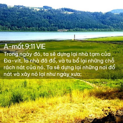 Picture 02 - A-mốt 9:11 VIE - Trong ngày đó, ta sẽ dựng lại nhà tạm - Bible Verse Picture