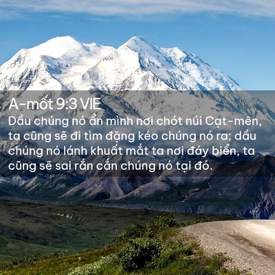 Picture 02 - A-mốt 9:3 VIE - Dầu chúng nó ẩn mình nơi chót núi - Bible Verse Picture