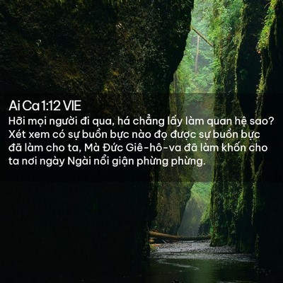 Picture 02 - Ai Ca 1:12 VIE - Hỡi mọi người đi qua, há chẳng lấy - Bible Verse Picture