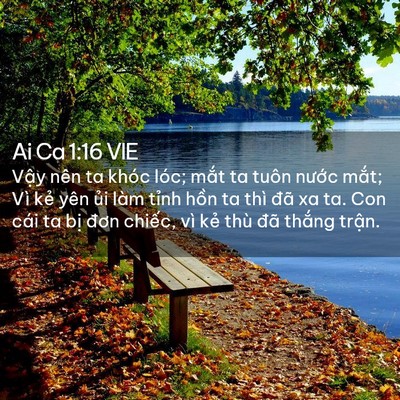 Picture 02 - Ai Ca 1:16 VIE - Vậy nên ta khóc lóc; mắt ta tuôn nước - Bible Verse Picture