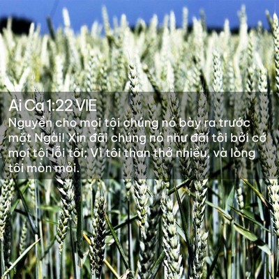 Picture 02 - Ai Ca 1:22 VIE - Nguyền cho mọi tội chúng nó bày ra - Bible Verse Picture