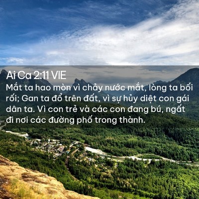 Picture 02 - Ai Ca 2:11 VIE - Mắt ta hao mòn vì chảy nước mắt, lòng - Bible Verse Picture