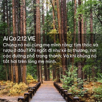Picture 02 - Ai Ca 2:12 VIE - Chúng nó nói cùng mẹ mình rằng: tìm - Bible Verse Picture
