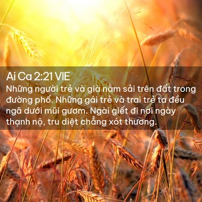 Picture 02 - Ai Ca 2:21 VIE - Những người trẻ và già nằm sải trên - Bible Verse Picture