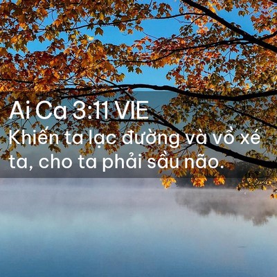 Picture 02 - Ai Ca 3:11 VIE - Khiến ta lạc đường và vồ xé ta, cho - Bible Verse Picture