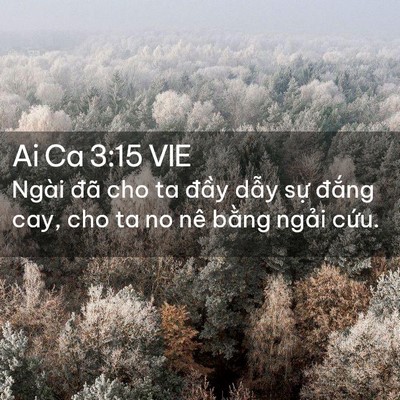 Picture 02 - Ai Ca 3:15 VIE - Ngài đã cho ta đầy dẫy sự đắng cay, - Bible Verse Picture