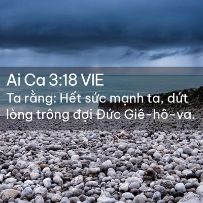 Picture 02 - Ai Ca 3:18 VIE - Ta rằng: Hết sức mạnh ta, dứt lòng - Bible Verse Picture