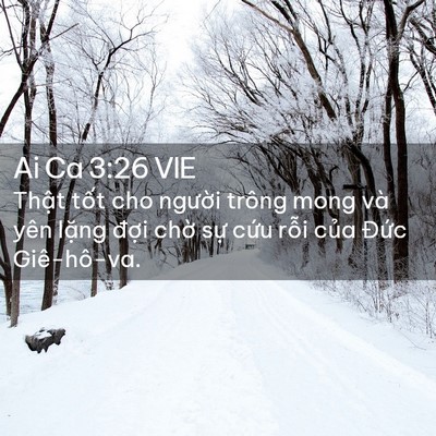 Picture 02 - Ai Ca 3:26 VIE - Thật tốt cho người trông mong và yên - Bible Verse Picture