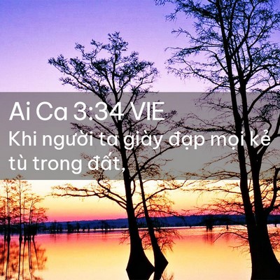 Picture 02 - Ai Ca 3:34 VIE - Khi người ta giày đạp mọi kẻ tù trong - Bible Verse Picture