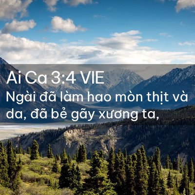 Picture 02 - Ai Ca 3:4 VIE - Ngài đã làm hao mòn thịt và da, đã bẻ - Bible Verse Picture