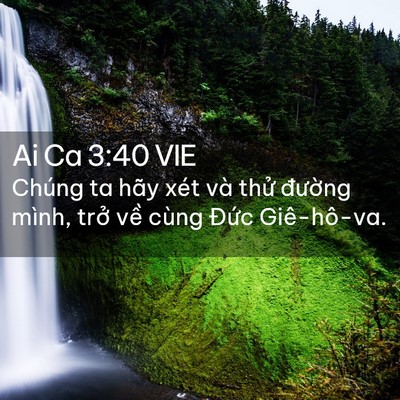 Picture 02 - Ai Ca 3:40 VIE - Chúng ta hãy xét và thử đường mình, - Bible Verse Picture