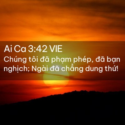 Picture 02 - Ai Ca 3:42 VIE - Chúng tôi đã phạm phép, đã bạn - Bible Verse Picture