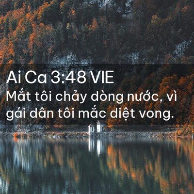 Picture 02 - Ai Ca 3:48 VIE - Mắt tôi chảy dòng nước, vì gái dân - Bible Verse Picture