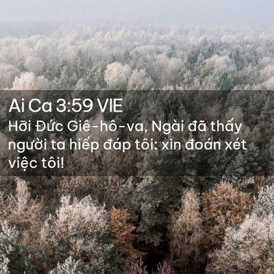 Picture 02 - Ai Ca 3:59 VIE - Hỡi Đức Giê-hô-va, Ngài đã thấy - Bible Verse Picture