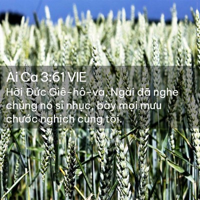 Picture 02 - Ai Ca 3:61 VIE - Hỡi Đức Giê-hô-va, Ngài đã nghe chúng - Bible Verse Picture
