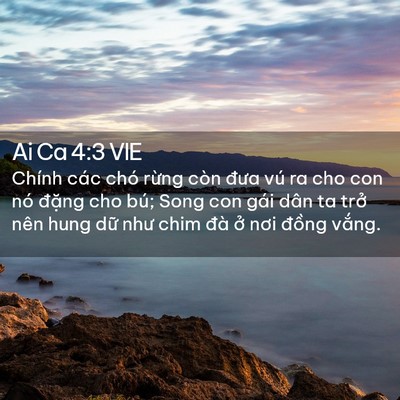 Picture 02 - Ai Ca 4:3 VIE - Chính các chó rừng còn đưa vú ra cho con - Bible Verse Picture