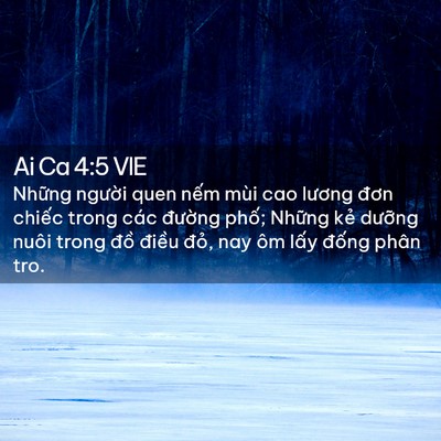 Picture 02 - Ai Ca 4:5 VIE - Những người quen nếm mùi cao lương - Bible Verse Picture