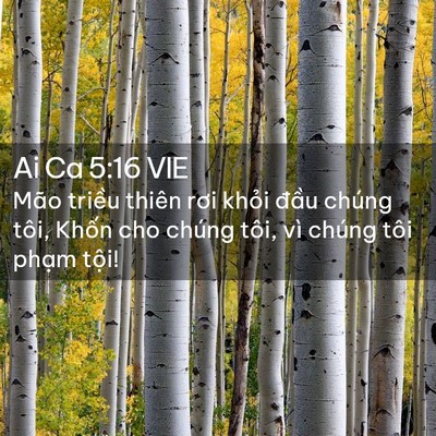 Picture 02 - Ai Ca 5:16 VIE - Mão triều thiên rơi khỏi đầu chúng - Bible Verse Picture