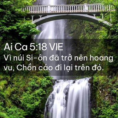 Picture 02 - Ai Ca 5:18 VIE - Vì núi Si-ôn đã trở nên hoang vu, Chồn - Bible Verse Picture