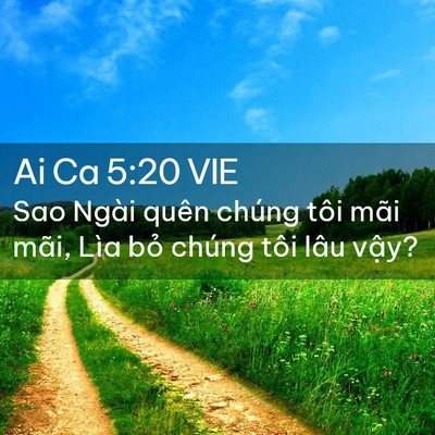 Picture 02 - Ai Ca 5:20 VIE - Sao Ngài quên chúng tôi mãi mãi, Lìa bỏ - Bible Verse Picture