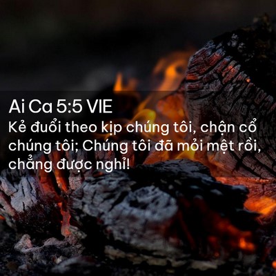 Picture 02 - Ai Ca 5:5 VIE - Kẻ đuổi theo kịp chúng tôi, chận cổ - Bible Verse Picture