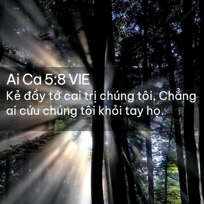 Picture 02 - Ai Ca 5:8 VIE - Kẻ đầy tớ cai trị chúng tôi, Chẳng - Bible Verse Picture
