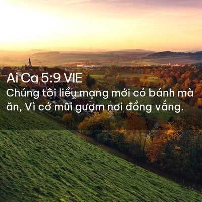 Picture 02 - Ai Ca 5:9 VIE - Chúng tôi liều mạng mới có bánh mà - Bible Verse Picture