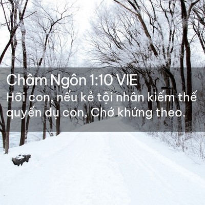 Picture 02 - Châm Ngôn 1:10 VIE - Hỡi con, nếu kẻ tội nhân kiếm thế - Bible Verse Picture
