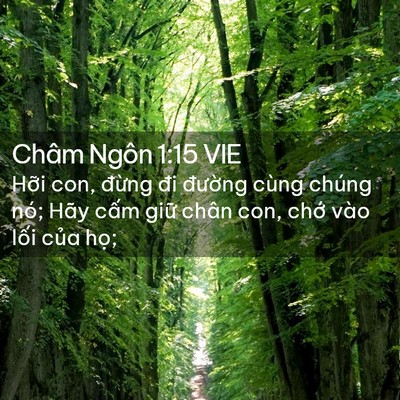 Picture 02 - Châm Ngôn 1:15 VIE - Hỡi con, đừng đi đường cùng chúng - Bible Verse Picture