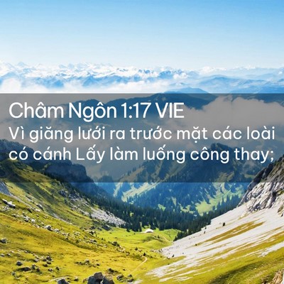 Picture 02 - Châm Ngôn 1:17 VIE - Vì giăng lưới ra trước mặt các loài - Bible Verse Picture