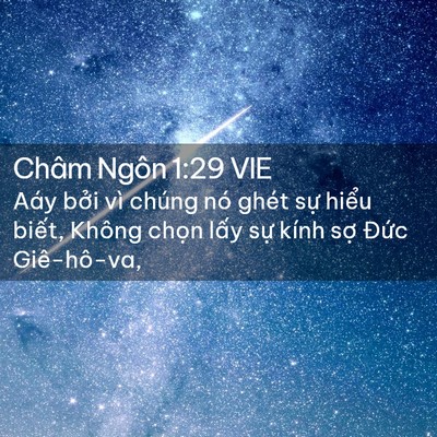 Picture 02 - Châm Ngôn 1:29 VIE - Aáy bởi vì chúng nó ghét sự hiểu - Bible Verse Picture