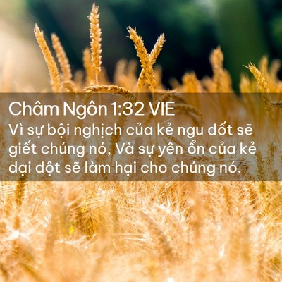 Picture 02 - Châm Ngôn 1:32 VIE - Vì sự bội nghịch của kẻ ngu dốt sẽ - Bible Verse Picture