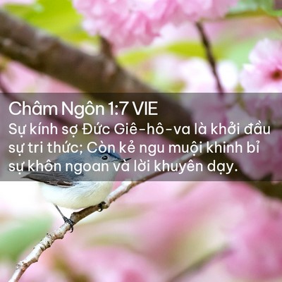 Picture 02 - Châm Ngôn 1:7 VIE - Sự kính sợ Đức Giê-hô-va là khởi - Bible Verse Picture