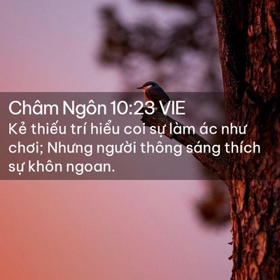 Picture 02 - Châm Ngôn 10:23 VIE - Kẻ thiếu trí hiểu coi sự làm ác như - Bible Verse Picture