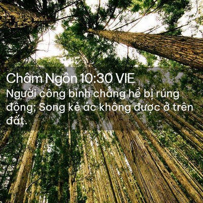 Picture 02 - Châm Ngôn 10:30 VIE - Người công bình chẳng hề bị rúng - Bible Verse Picture