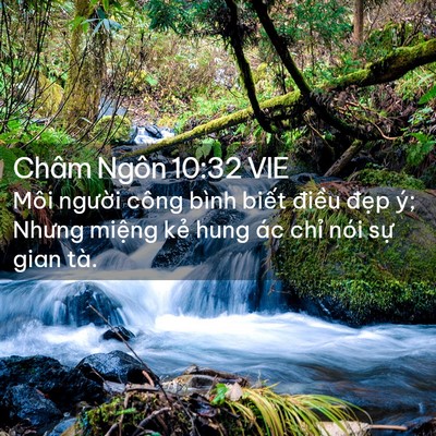 Picture 02 - Châm Ngôn 10:32 VIE - Môi người công bình biết điều đẹp - Bible Verse Picture