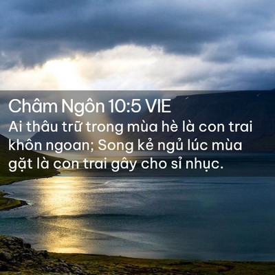 Picture 02 - Châm Ngôn 10:5 VIE - Ai thâu trữ trong mùa hè là con trai khôn - Bible Verse Picture