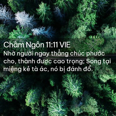 Picture 02 - Châm Ngôn 11:11 VIE - Nhờ người ngay thẳng chúc phước cho, - Bible Verse Picture