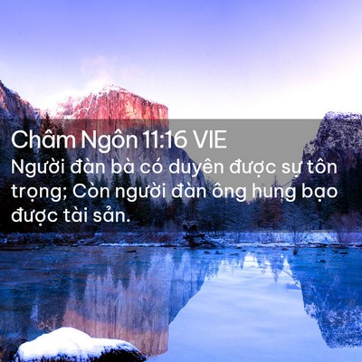 Picture 02 - Châm Ngôn 11:16 VIE - Người đàn bà có duyên được sự tôn - Bible Verse Picture