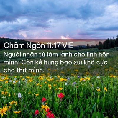 Picture 02 - Châm Ngôn 11:17 VIE - Người nhân từ làm lành cho linh hồn - Bible Verse Picture