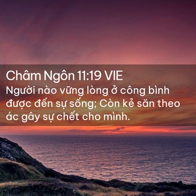 Picture 02 - Châm Ngôn 11:19 VIE - Người nào vững lòng ở công bình - Bible Verse Picture